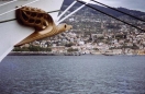 Abschied von Madeire (Funchal) Mai 1980