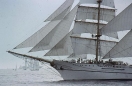 Boston OP Sail 1980